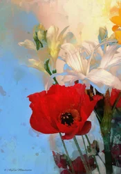 Mohn auf Blau, 2014